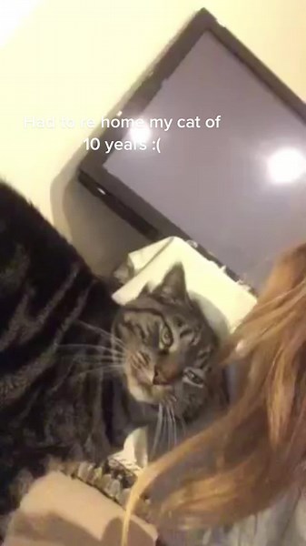 miracles do happen .