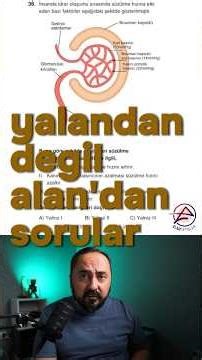 Yalandan değil Alan'dan sorular | 1 |