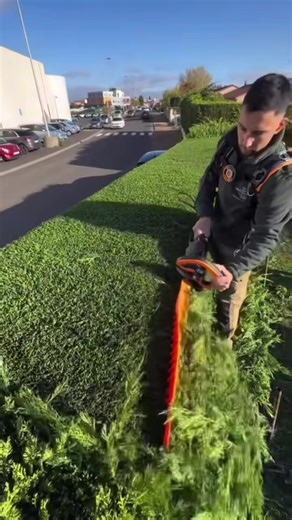 Ultimate ASMR for Cleaning and Lawn Care Satisfaction