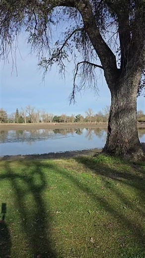 Lodi lake park in Lodi California 🙌 👌 😍 Walking Saturday morning 🌄 | Frangkie Flores Estocapio