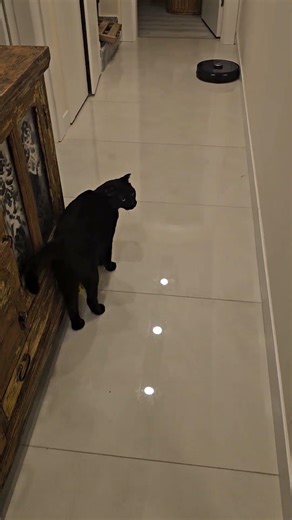 #katya #şımart #katyaT robot supurge ile tanışma