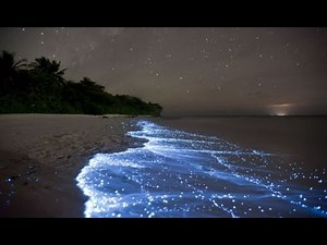 Maldives Glowing Beach The Sea of Stars - Beautiful Ocean Glow by Bioluminescence