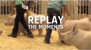 If you missed a minute of the Exposition this year...we've got ya covered! Subscribe today to the Walton Webcasting archives to Replay the Moments! | Walton Webcasting