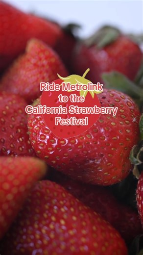 This weekend, take extended Metrolink VC Line to the Ventura Fairgrounds for $10 to attend the #CaliforniaStrawberryFestival 🍓 Trains will not stop at Ventura East during this weekend. | Metrolink