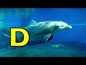 ALPHABET ANIMALS - PHONICS - ALPHABET SONG Compilation (Parts 33 - 40) Preschool, K-3 HOMESCHOOL