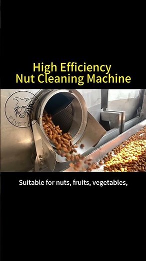 350 Tons/Day Nut processing Line Installing Now！#NutProcessingLine#MacadamiaNuts#nutprocessing