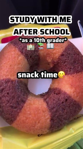 STUDY VLOG AS A 10TH GRADER | STUDY WITH ME AFTER SCHOOL | REALISTIC STUDY VLOG | ENGLISH CLASS 10