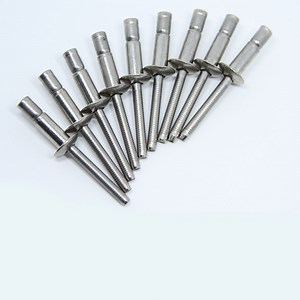 [Hot Item] Special Hot Selling 4.8mm Steel Stainless Steel Mono-Lock Monobolt Blind Rivet