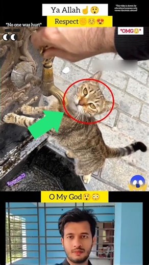 Mashallah☝🏻😇 Respect 😍 #allah #shorts #status #short #respect #respecttv21