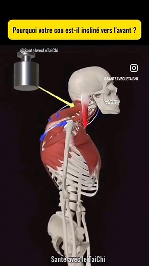 Corrige le dos incliné vers l’avant en seul mouvement régulier… #coachléo #fypシ゚ #foryoupageシ #relsviralシ #viralpost2025シ #sportmotivation #strechingexercises #goodshape #etirements #shredded #fitlife #fitnessmotivation #fitness #lifestyle #training #backworkouts | Coach Léo