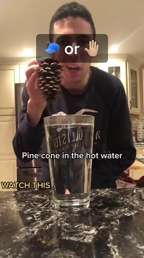 Shrinking Pinecone 🌲 | Cap or Slap