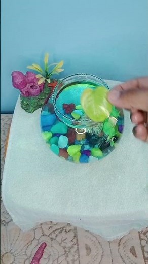 BETTA fish bowl setup🐬🙏🙏🙏