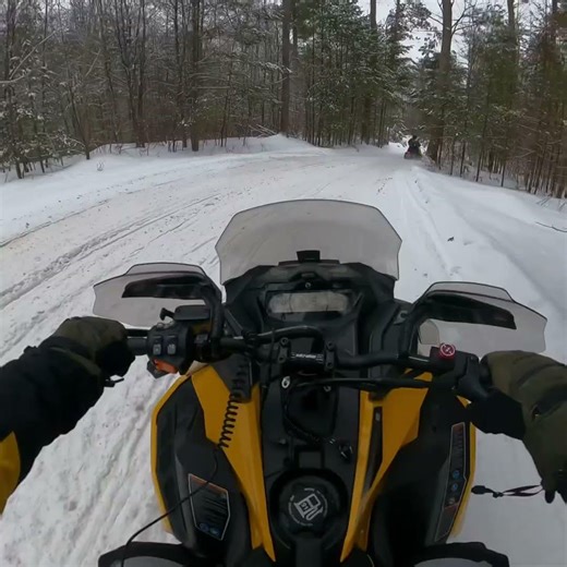 POV: Blasting Through Wisconsin Snowmobile Trails at Full Speed 💨 #snowmobile #shortsfeed