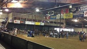 Fast Back Ropes on Reels