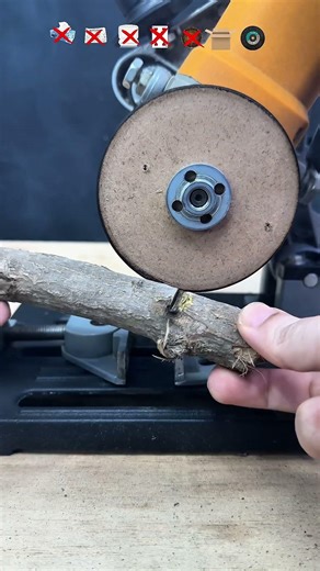 Tissue Vs Tree Wood 🪵