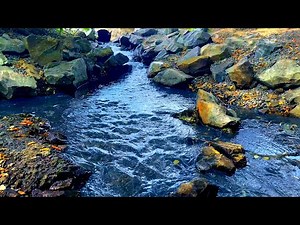 Find Inner Peace: Relaxing Babbling Brook Sounds and Nature White Noise for Sleeping and Relaxation