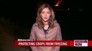 Fruit growers do what they can to protect young buds from frost. As Annie Szatkowski reports, one farm set a controlled brush fire: http://via.wxmi.com/AfexH | FOX 17
