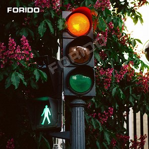 [Hot Item] European Standard LED Traffic Light with CE