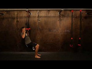 Suspended Pull Ups | Suspension Training Exercises