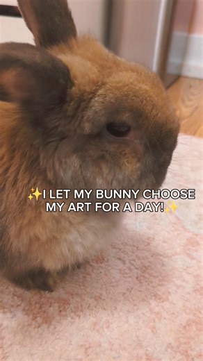 WHAT WILL SHE PICK?!?🐰(part one)✨ #art #bunny #petchallenge #pets #challenge #viral #shorts