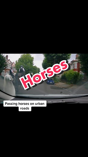 How do you drive past horses? #drivingtips #drivinglessons #drivinglicense #drivingtest