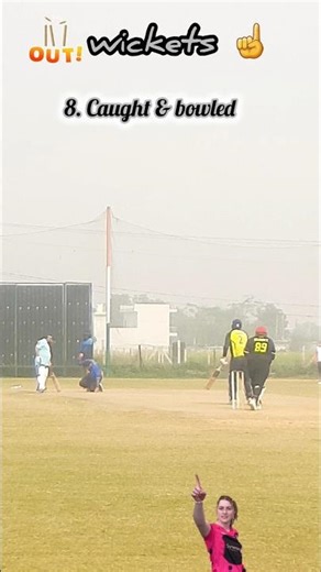 141225 #highlights #cricket