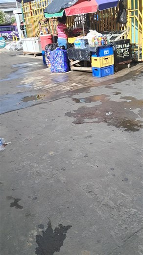 Garbage Collection Tips for Your Home