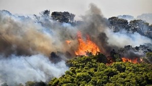Cyprus faces early wildfire challenges due to climate crisis