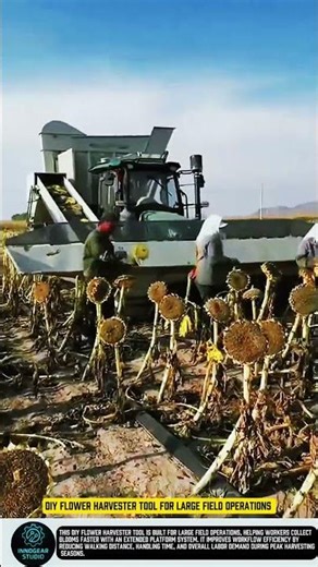 DIY flower harvester tool for large field operations #tool