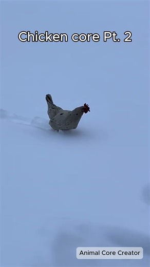 Chicken core Pt. 2 🐔 #chicken #chickens #animalcore #chickencore #core