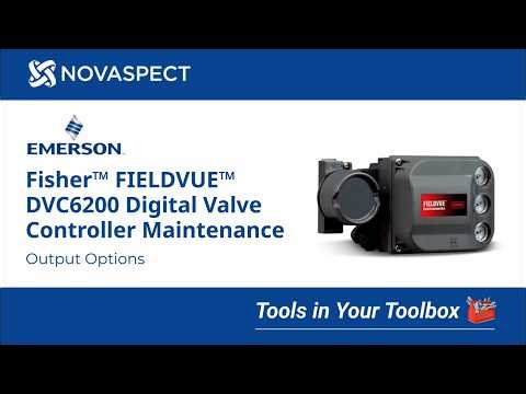 Fisher™ FIELDVUE™ DVC6200 Digital Valve Controller - Output Options