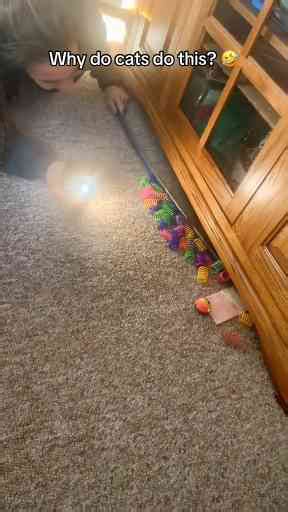 Woman Finds All Her Cat's Toys Under the TV Cabinet