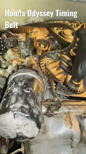 Honda V6 Engine Timing Belt Odyssey 3.5 Liter Replacement
