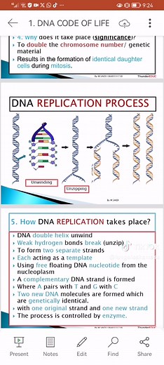 Understanding the DNA Code of Life in Grade 12 Biology