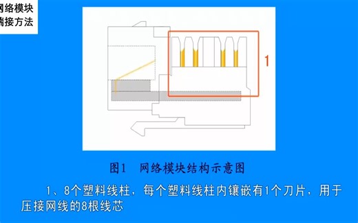 网络模块端接方法