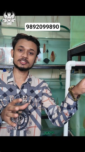 DISCUS FISH FOOD #discusfish #discus #youtubeshorts