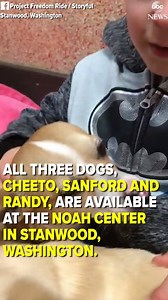 491K views · 2.9K reactions | "I hope they're gonna get good homes!"...