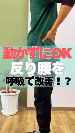 動かずにOK 反り腰を寝たまま 改善する方法 #反り腰 #反り腰改善 #腰痛 #ストレッチ #腰痛かいぜ