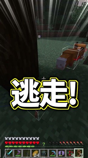 [Minecraft] What happens when a fox gets married...? [Slow-paced commentary]