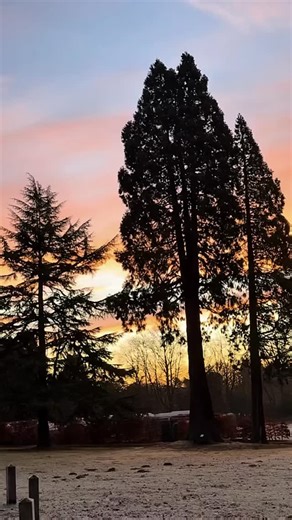 👋🏼WE’RE BACK!👋🏼 👏🏼It’s been a busy start to 2026 but we’re back, ready for it and cannot wait to welcome you all to Blackwell Adventure 2026👏🏼 📸The weather has been crazy the past few days but a touch of frost this morning and beautiful sky was hard not to capture📸 📷Our Manor House lawn is always so photogenic📷 #blackwelladventure #adventure #scout #scenery #outdooractivities | Blackwell Adventure