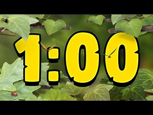 Bugs in the Garden: 1 Minute Countdown Timer