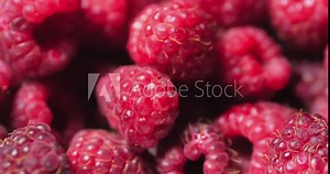 Close Up Berry. Fresh, Juicy Raspberry Background, Ripe. Macro Red Raspberries Fruit. Fresh Raspberry Fruits As Food Dackground. Healthy Food Organic Nutrition.