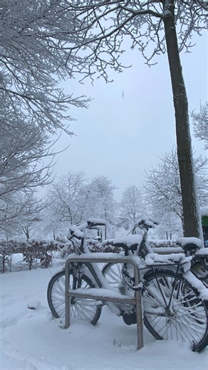 Joana Neca on Instagram: "It started with snow. The kind that looks cute at first… until the city of Amsterdam slowly stops moving. Trams vanished. @gvb_online 😆 Buses gave up. Bikes suddenly felt like a terrible life choice (but still a lot of Dutchies kept the spirit 💪) Amsterdam was quiet. Too quiet. So I found an alternative way to get around. No app. No ticket. No rules. Just creativity, questionable decisions, and a lot of laughter. Sometimes when the city freezes, you don’t wait, you im
