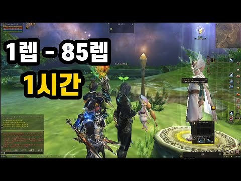 [ 리니지2 복귀유저 - 01 ] 1시간 85렙 각성. 소소한팁