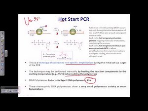 Hot start PCR