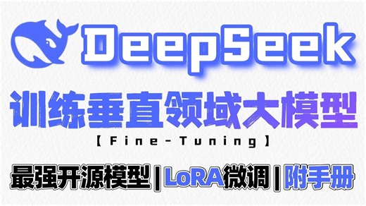【DeepSeek微调教程】手把手教你DeepSeek模型Lora微调训练，从零开始训练垂直领域大模型！实现专业领域应用！全程干货附微调手册~大模型|LLM