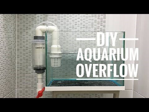 무타공 섬프수조 만들기 오버플로우 최종편 Diy Aquarium Overflow System