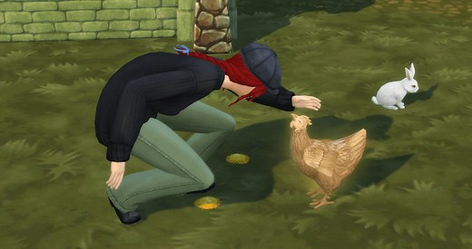 The Sims 4: Everything You Need to Know About Chickens