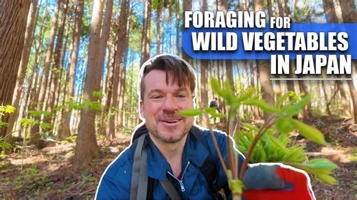 Foraging in Japan: Cooking Wild Vegetables