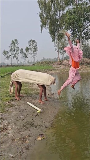 What is the cow doing?